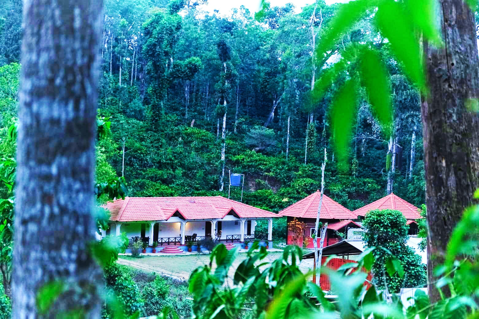 Nostalgic & Emotional Ten Years, Same Crew, One Unforgettable Coorg Trip.
